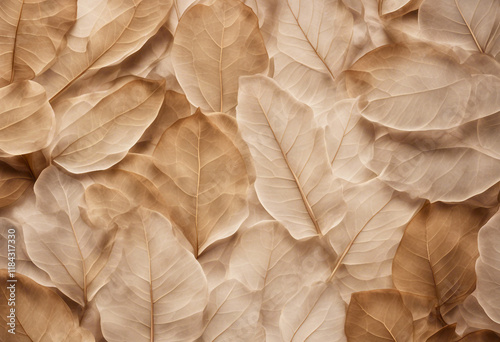 Delicate Dried Leaves A Natural and Textured Background