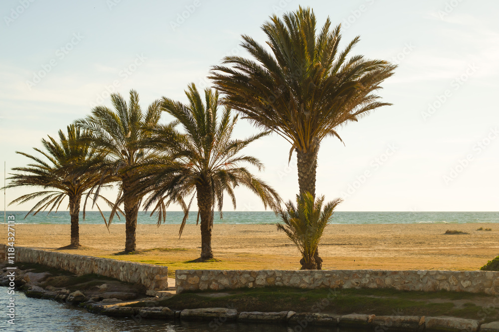 Close-up of palm trees framing the Mediterranean Sea, next to the mouth of a stream, on Comarruga beach, Tarragona, Spain Close-up of palm trees framing the Mediterranean Sea, next to the mouth of a stream, on Comarruga beach, Tarragona, Spain