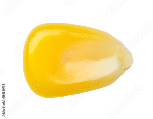 single shiny yellow corn kernel macro view isolated on white background, close-up fresh sweet corn seed, detailed texture, natural food ingredient, isolated background
