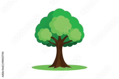 tree isolated on white