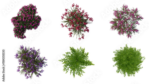 tree top view plant landscape architecture nature garden aerial render. trees branch isolate collection illustration environment green botany urban bush park. tree architecture conifer decorative.