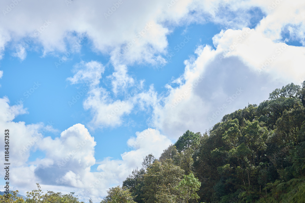 green mountain with blue sky background and big white clouds green mountain with blue sky background and big white clouds