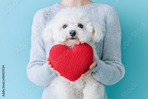 A person holds a fluffy white dog in front of a blue background, with the dog cradling a bright red heart.
