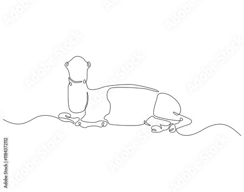 Continuous line drawing of camel. Single line illustration of arabian camel. Dessert animal, dromedary vector outline. Editable outline