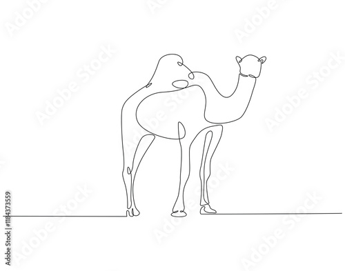 Continuous line drawing of camel. Single line illustration of arabian camel. Dessert animal, dromedary vector outline. Editable outline