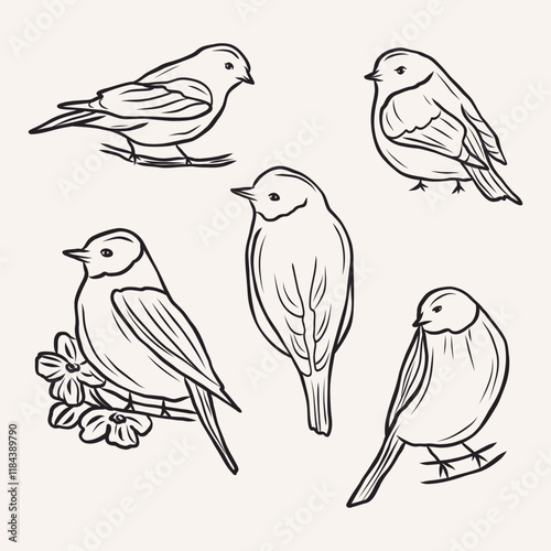 Wallpaper Mural Hand drawn birds collection. Whimsical illustration Torontodigital.ca