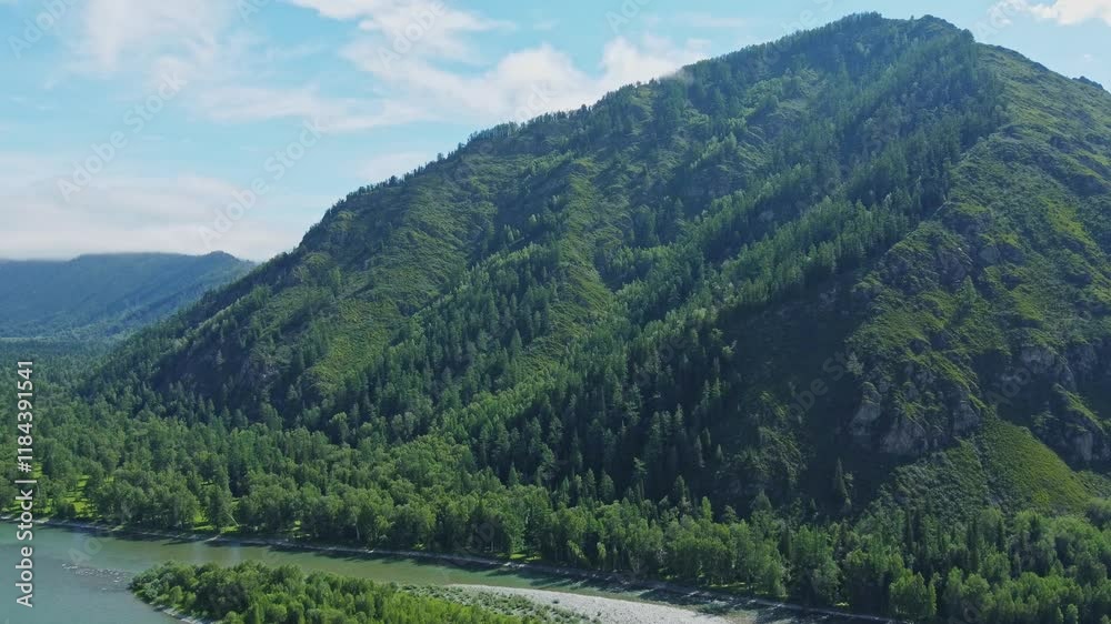 Aerial view from above over a mountain river and a green dense forest. Aerial view from above over a mountain river and a green dense forest.