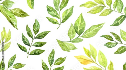 Grid pattern of curry leaves, Indian herb ingredient, realistic style, top view, isolated on white background