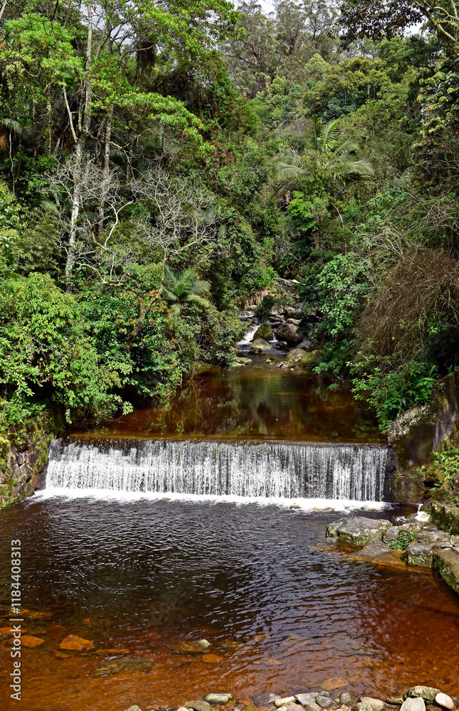 Waterfall on tropical rainforest in Teresopolis, Rio de Janeiro, Brazil
