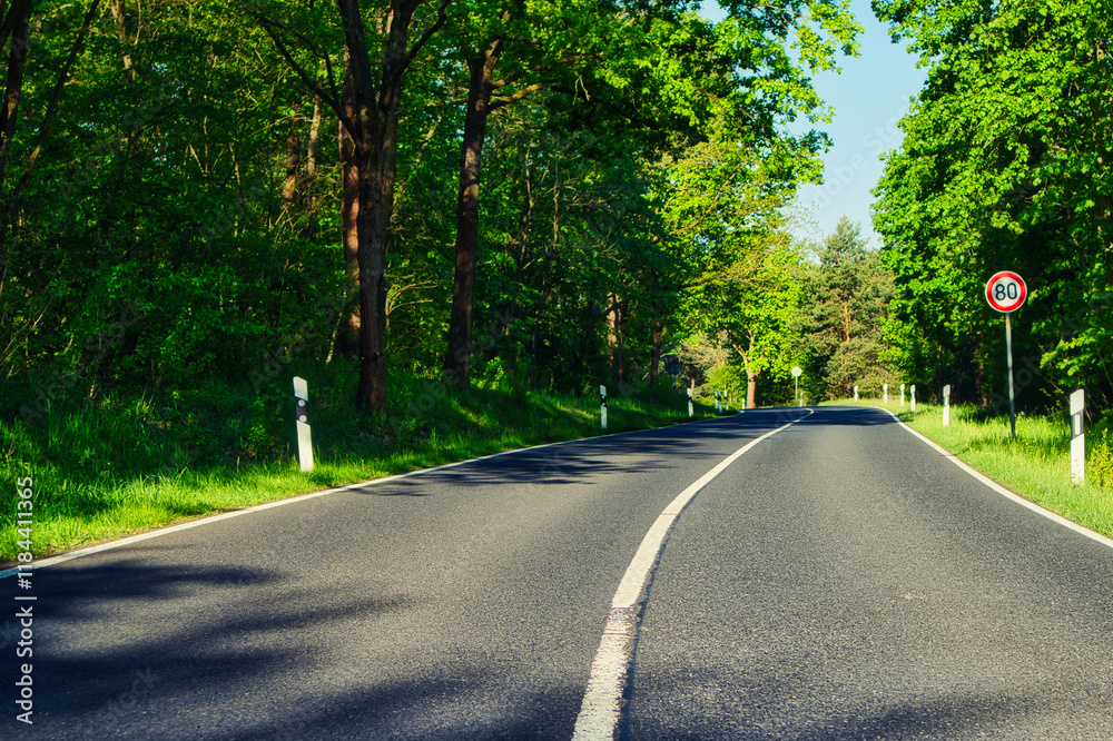 Fototapeta premium Asphalt - Landstrasse - Allee - Brandenburg - Strasse - - Bundesstrasse - Wald