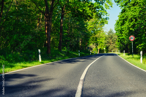 Asphalt - Landstrasse - Allee - Brandenburg - Strasse - - Bundesstrasse - Wald photo