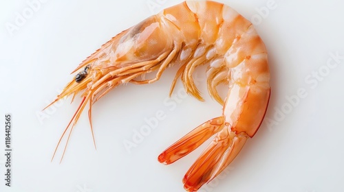 Raw shrimps displayed in isolation on a white background, showcasing the texture and appearance of raw shrimps in a clean and simple presentation for culinary and food related concepts. photo