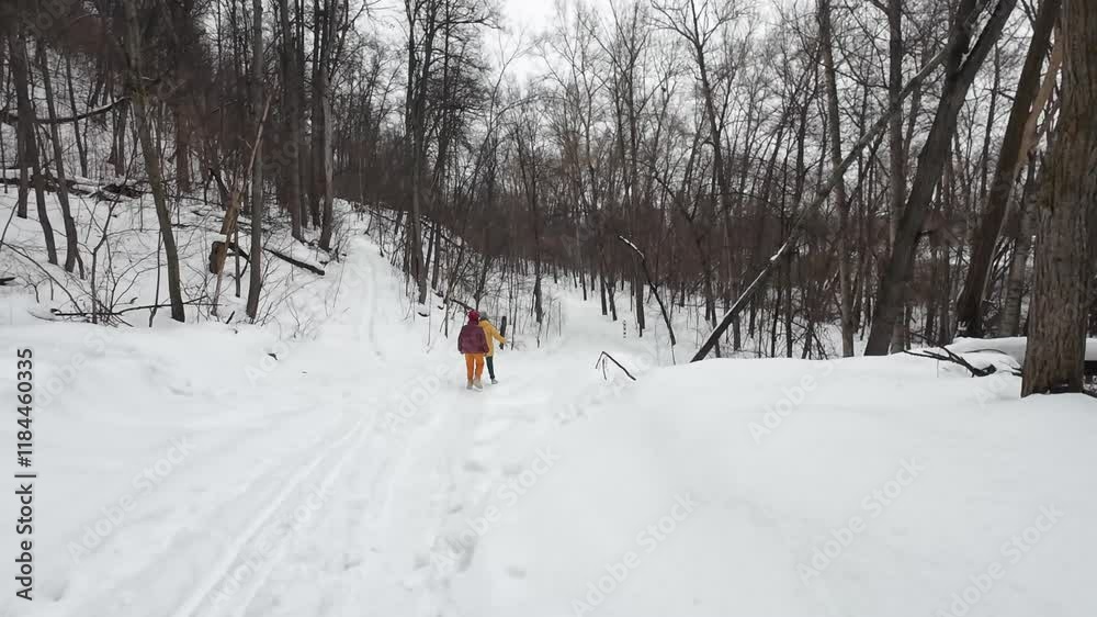 In a serene winter forest, two figures stroll along a snowcovered trail, surrounded by majestic trees, creating a harmonious atmosphere for exploration and embracing the seasons beauty In a serene winter forest, two figures stroll along a snowcovered trail, surrounded by majestic trees, creating a harmonious atmosphere for exploration and embracing the seasons beauty