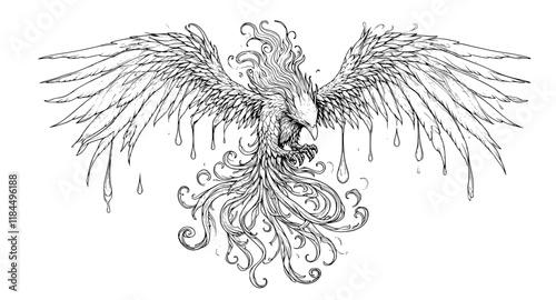 hand drawn sketch of a phoenix