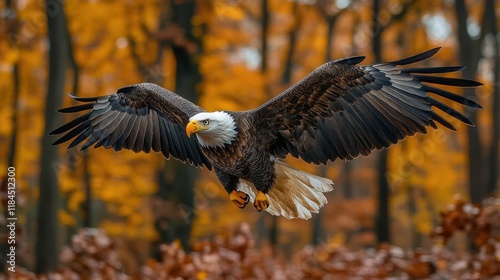 A majestic eagle soars through an autumn forest, showcasing its powerful wings and striking colors.