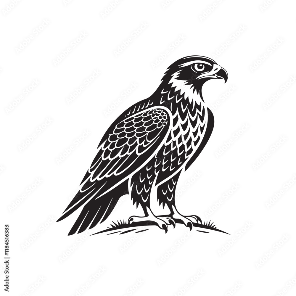 Obraz premium Black and White Hawk Illustration