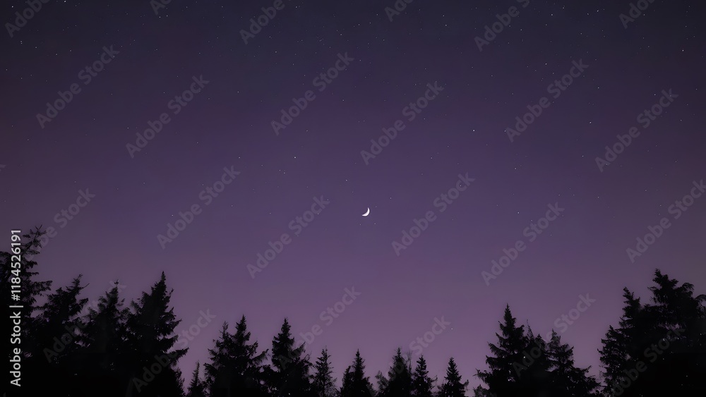 Fototapeta premium full moon over the forest