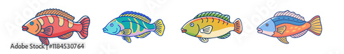 wrasse vector icon, fish vector illustration - simple illustration of wrasse perfect for logos, and fish - themed designs.