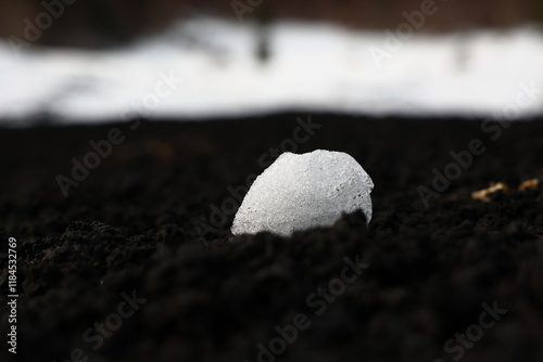 Etna (particolare) photo