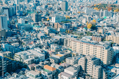 冬の東京の街並み