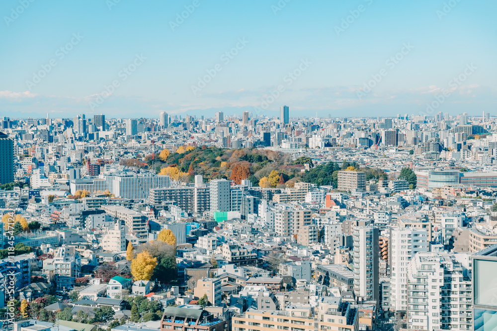 Obraz premium 冬の東京の街並み