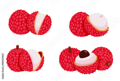 set of Lychee fruit vector Cartoon isolated on white background