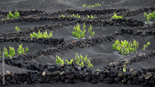 Lanzarote