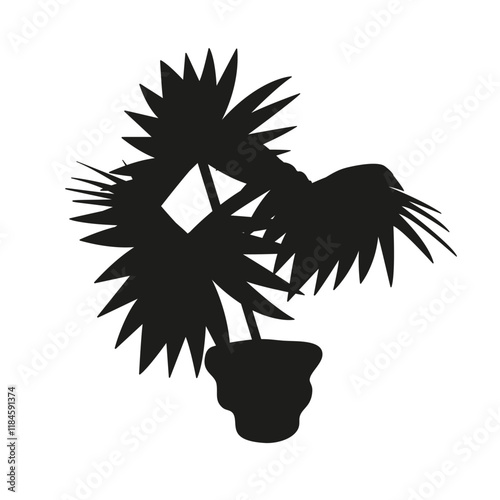 Black linocut silhouette of potted houseplant fan palm. Tropical plant monochrome hand drawn design