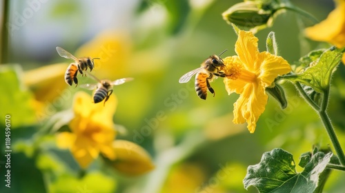 Bees Pollinating Vibrant Yellow Flowers