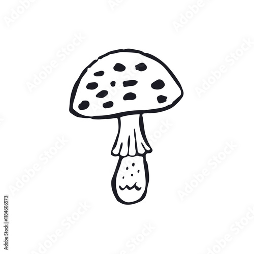 Hand drawn monochrome inky sketch style amanita mushroom. Poisonous fungy black and white doodles