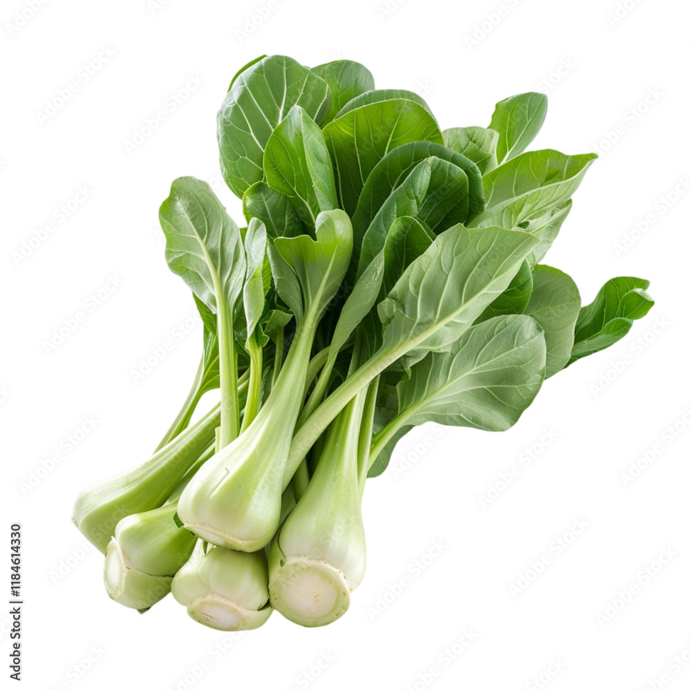 Whole fresh bok choy with green leaves isolated on a white background Whole fresh bok choy with green leaves isolated on a white background