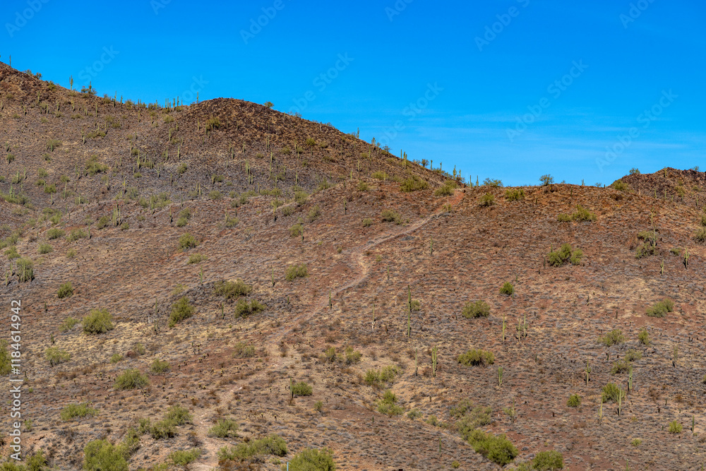 Fototapeta premium An hiking trail in an Arizona mountain