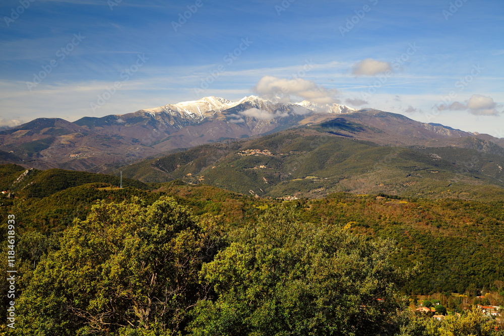 Naklejka premium Vue du Canigou dans les Pyrenees Orientales