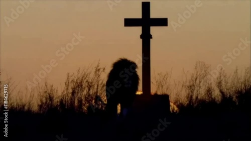 leão caminhando em direção a cruz de cristo  photo