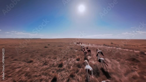 Aerial flyover over wild horses running