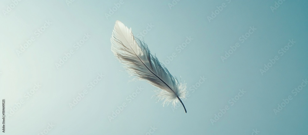 Fototapeta premium Single white feather floating in light blue sky.