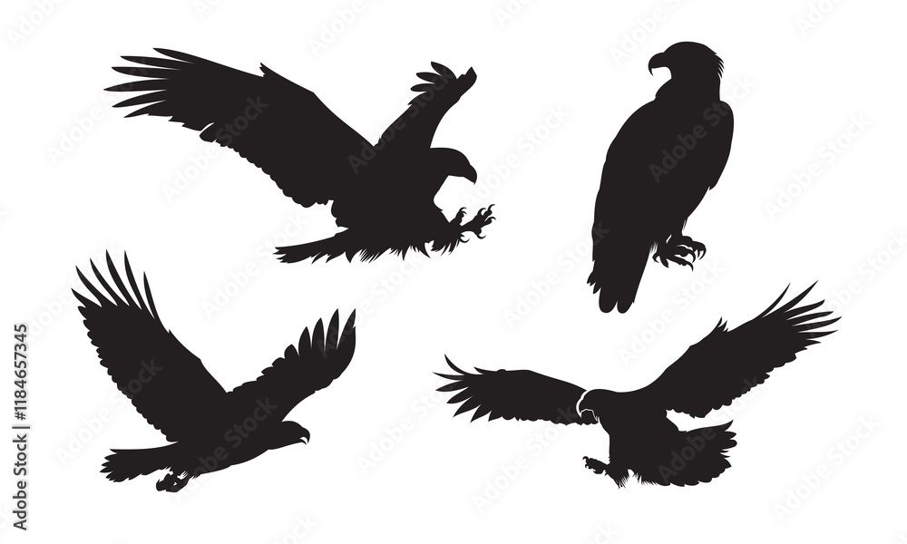 Obraz premium Eagle silhouette vector illustration. Flying eagle cartoon element. Suitable for bird drawing element.