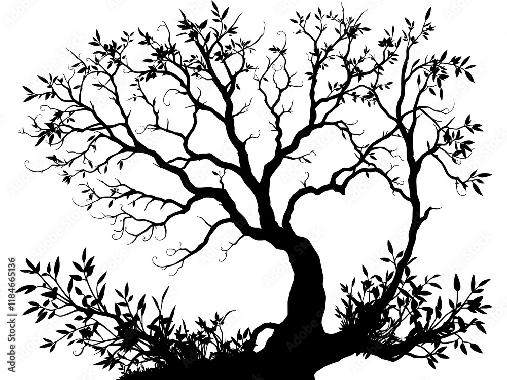 Fototapeta premium Silhouette of tree on a transparent background illustration.