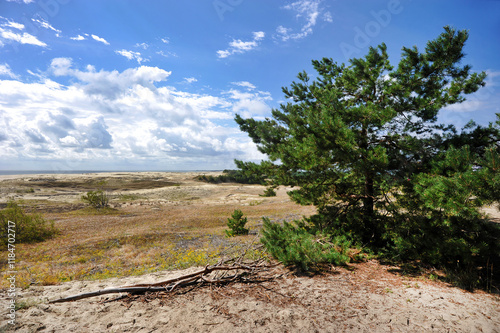 view of the Curonian Spit