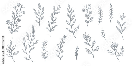 Elegant Hand-Drawn Floral Illustrations Featuring Various Botanical Elements