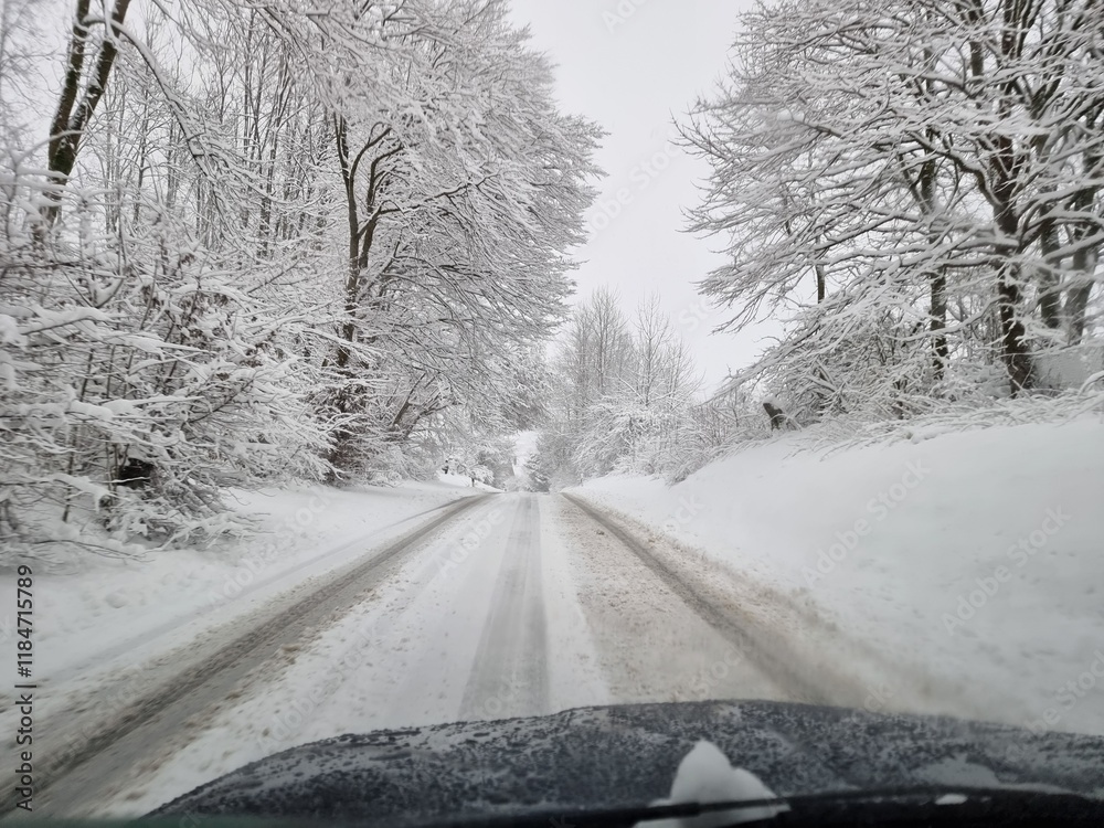 Fototapeta premium winter road in the forest