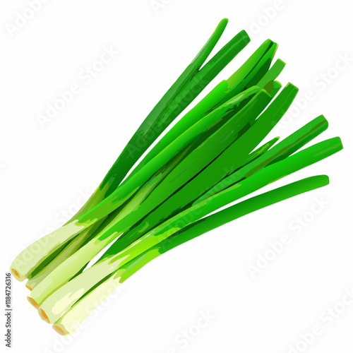 Bunch of green onions isolate vector illustration (2)