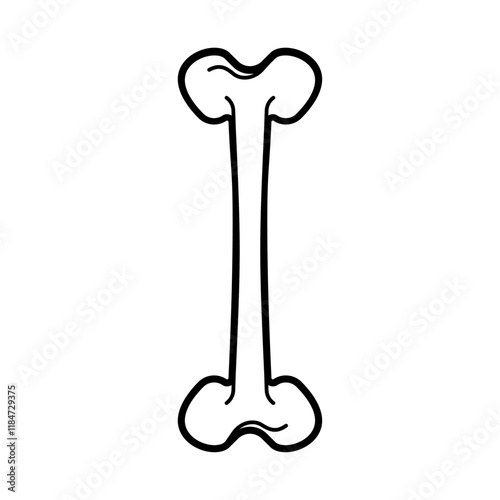 Bone isolated. Anatomical part of skeleton