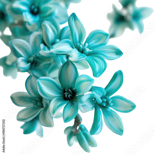 Jade Vine Strongylodon macrobotrys flower close-up, isolated on transparent background photo