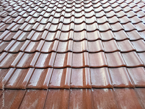 roof of the house