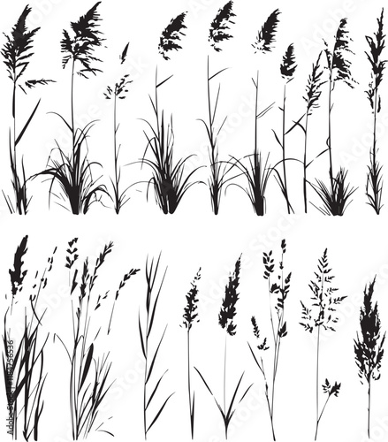 Long grass silhouette vector black and white background