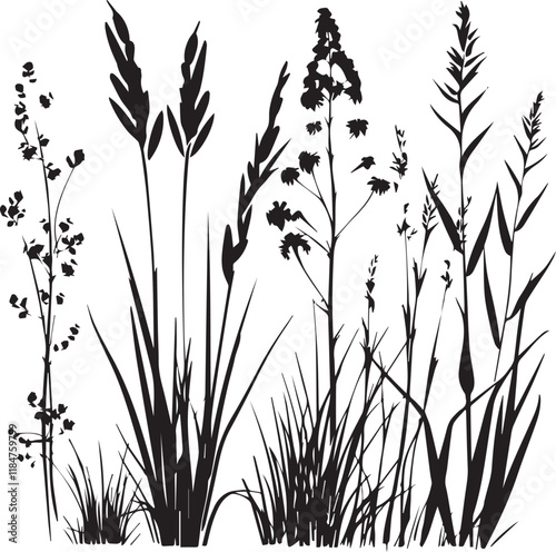 Long grass silhouette vector black and white background
