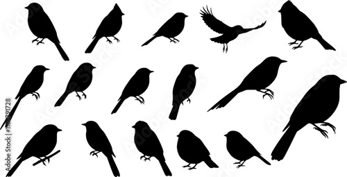 Vector Set of Birds silhouettes collection