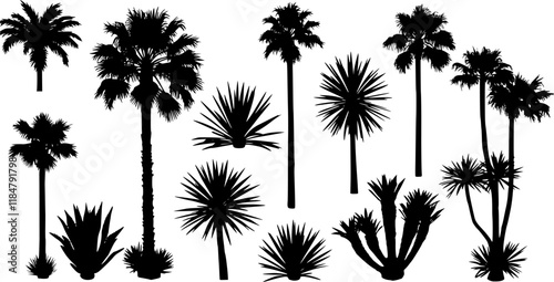 Vector set of Southern plants and trees. Silhouette vector set
