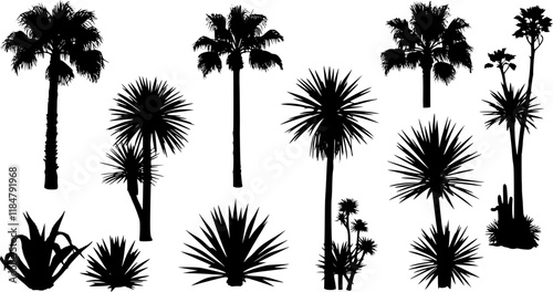 Vector set of Southern plants and trees. Silhouette vector set
